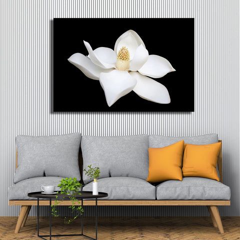 White Flower, Photography