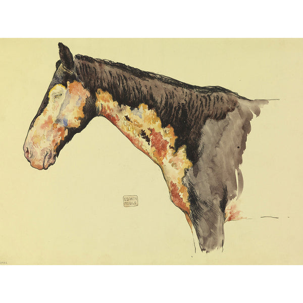 Horse Sketch with Effect of Mustard Gas