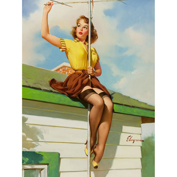 Pin-Up Girl, TV Spectacular