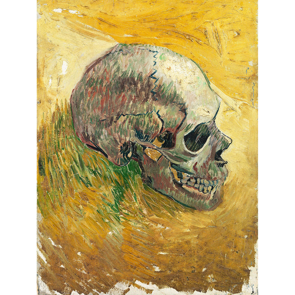 Skull in profile, Reproduction