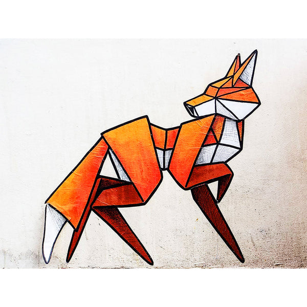 Orange Fox,  Graffiti