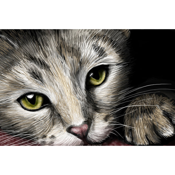 Cat Face, Digital Art