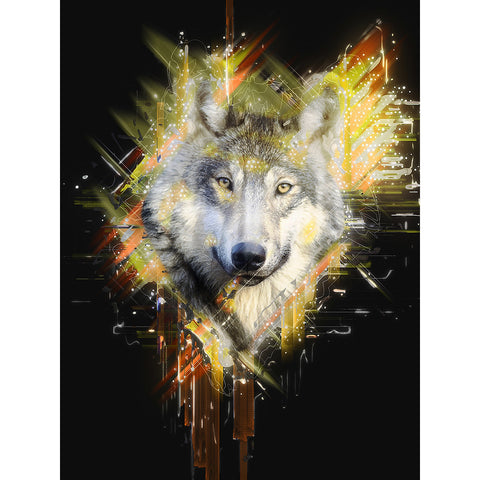 Wolf, Abstract Photography