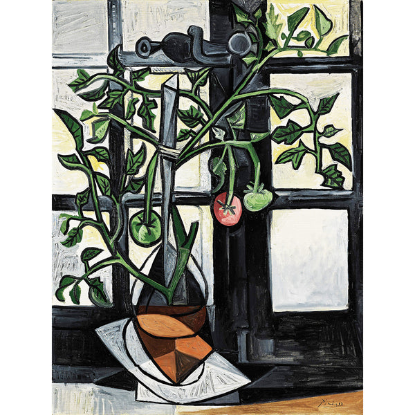 Tomato Plant, Reproduction