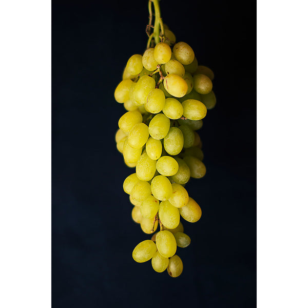 Bunch of Grapes, Food Photography
