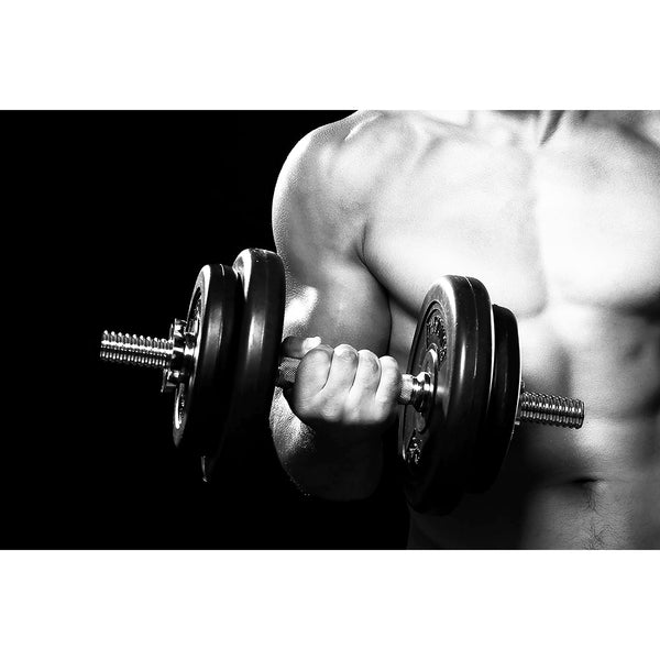 Dumbbell Workout, Multi Panel Art