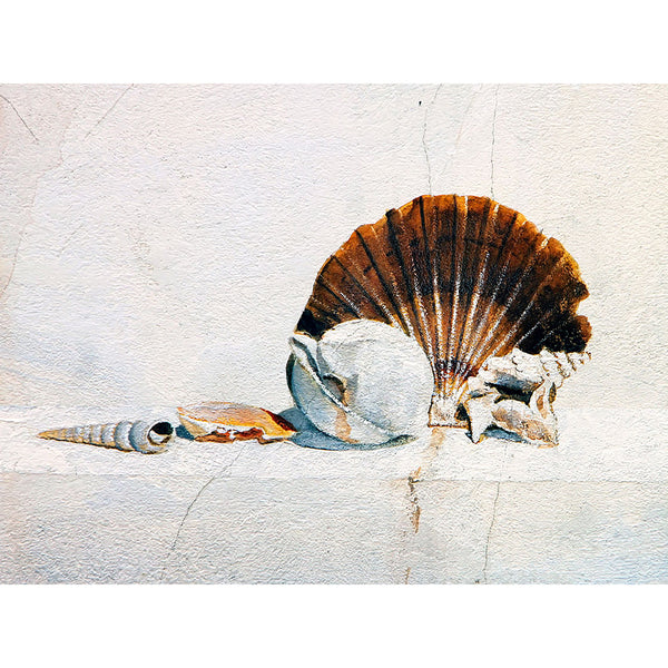 Shell Mural Still Life, Graffiti
