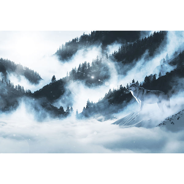 Wolf In the Fog, Photography