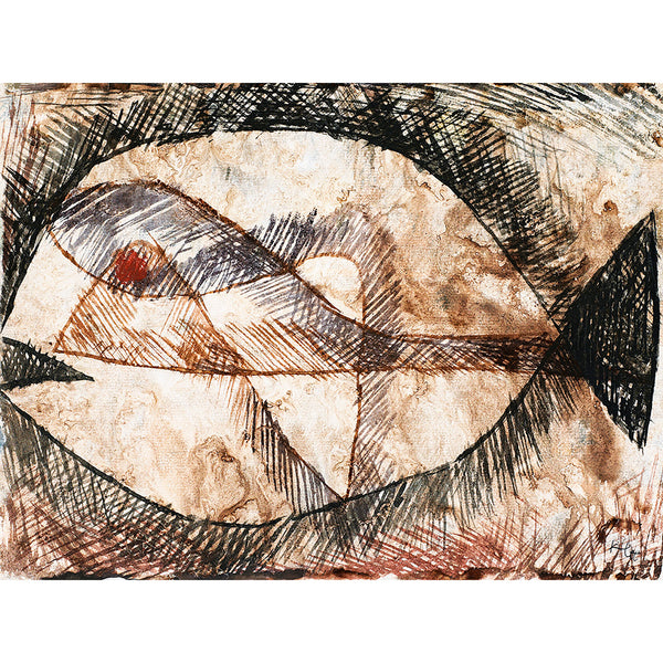 C.–C. = Fisch, Reproduction