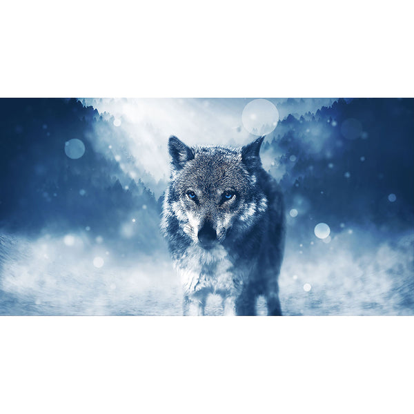 Wolf, Photography