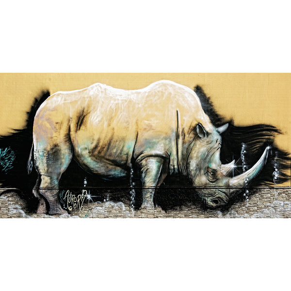 Rhinoceros Unicorn, Street Art