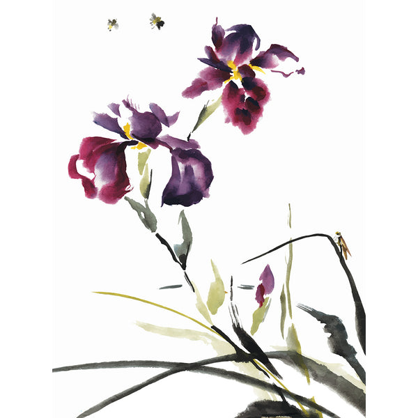 Flowers on White Background, Photography