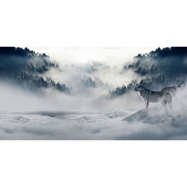 Wolf, Photography