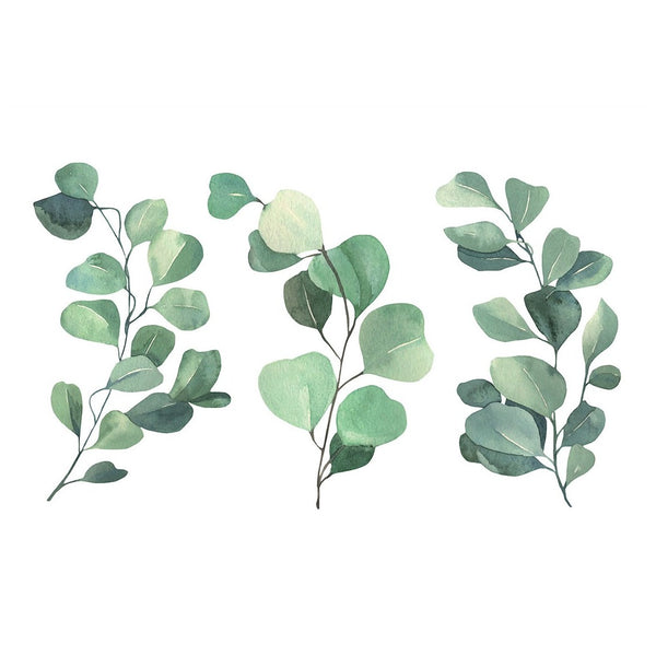 Eucalyptus  Image #2, Watercolor