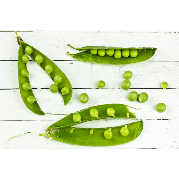Composition With Pea, Photography