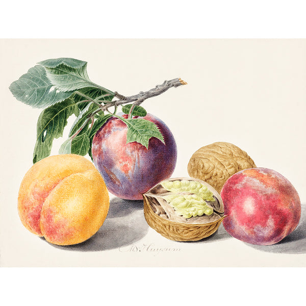 Fruits, Kitchen Art