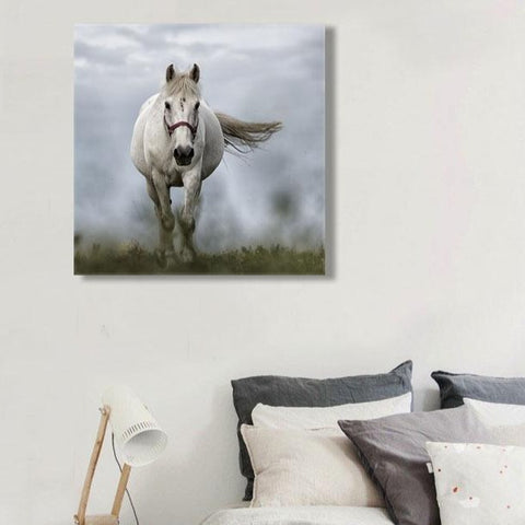 Running Horse, Photography