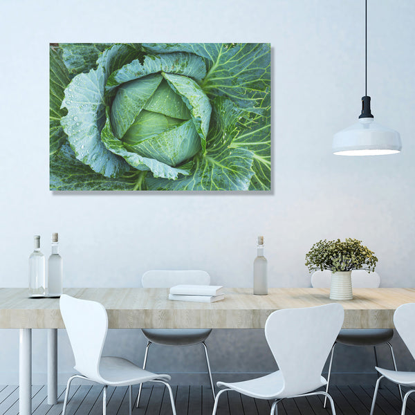 Cabbage Green, Photography