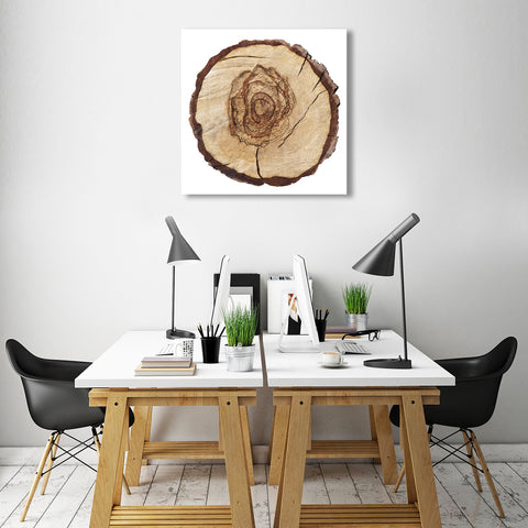 Tree Rings, Photography