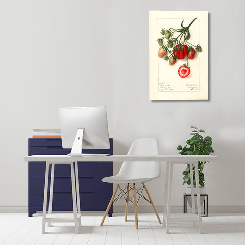 Strawberry, Vintage Botanical Illustration