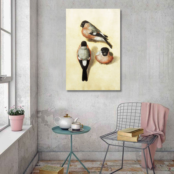 Three Studies of a Bullfinch, Reproduction