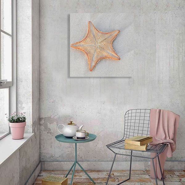 Starfish on Sand Beach, Photography
