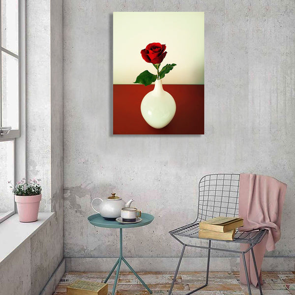 Red Rose, Photography