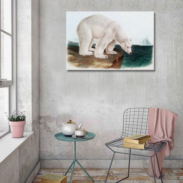 Ursus Maritimus Polar Bear