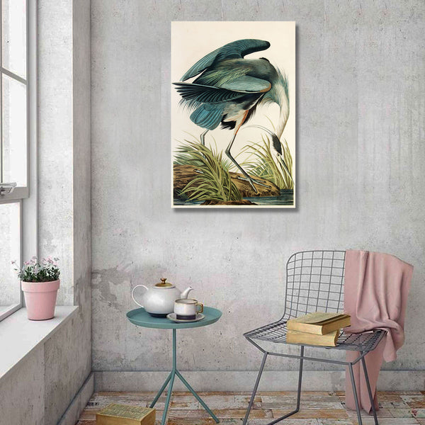 Birds of America, Great Blue Heron