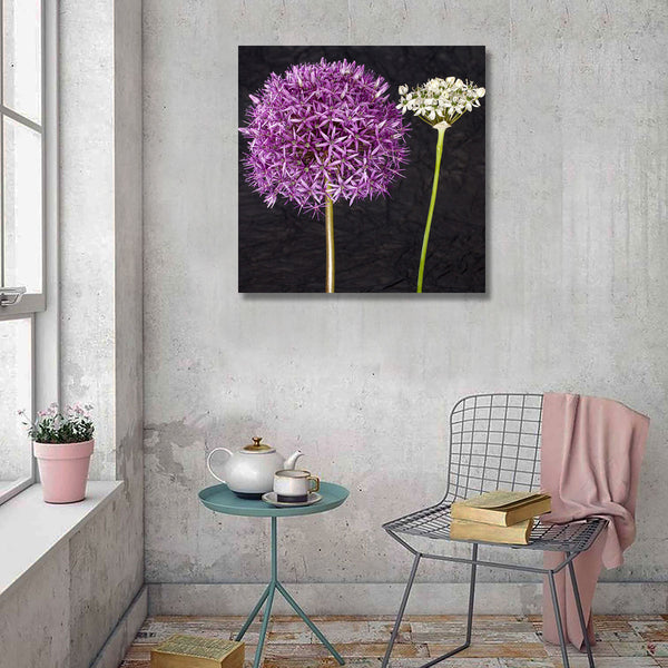 Purple Flowers, Photography