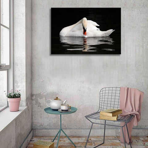 White Swan, Photography