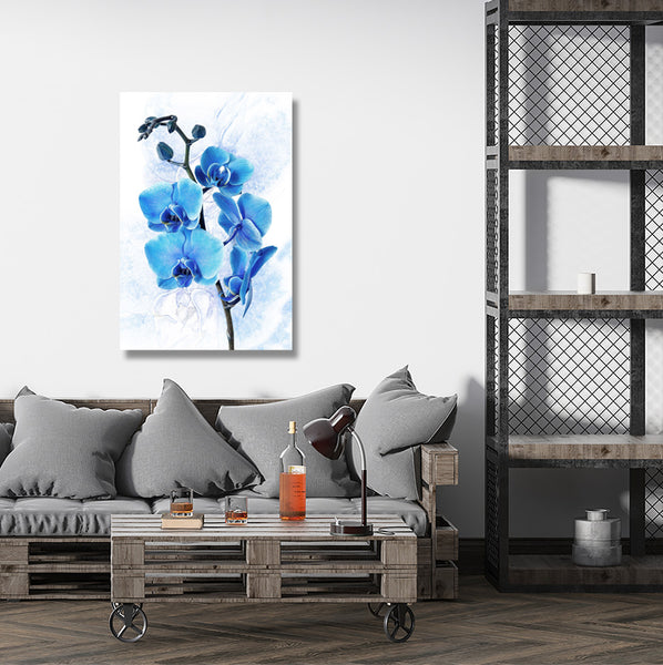 Blue Orchid on White Background