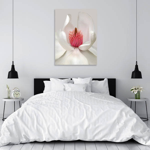 White Flower, Modern Photography
