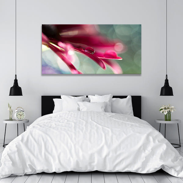 Beautiful Flower Petals, Macro Photography
