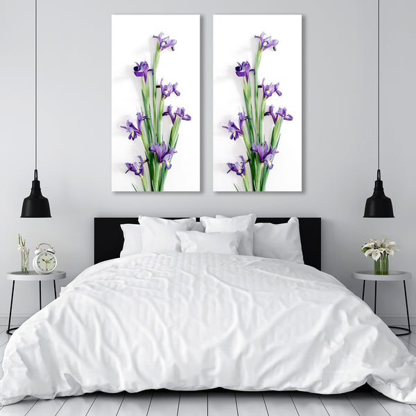 Irises on White Background, Photography