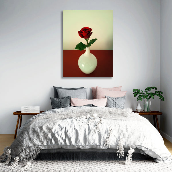 Red Rose, Photography