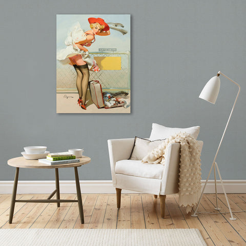 Pin-Up Girl, Doris Day