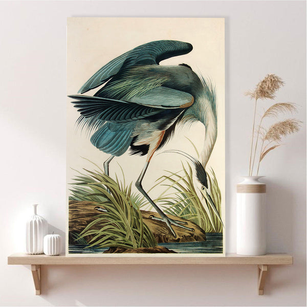 Birds of America, Great Blue Heron