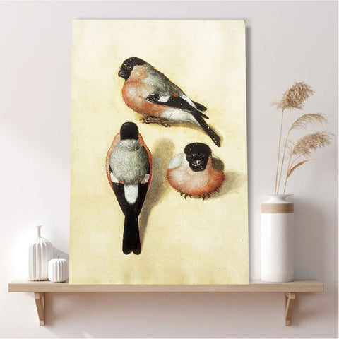 Three Studies of a Bullfinch, Reproduction