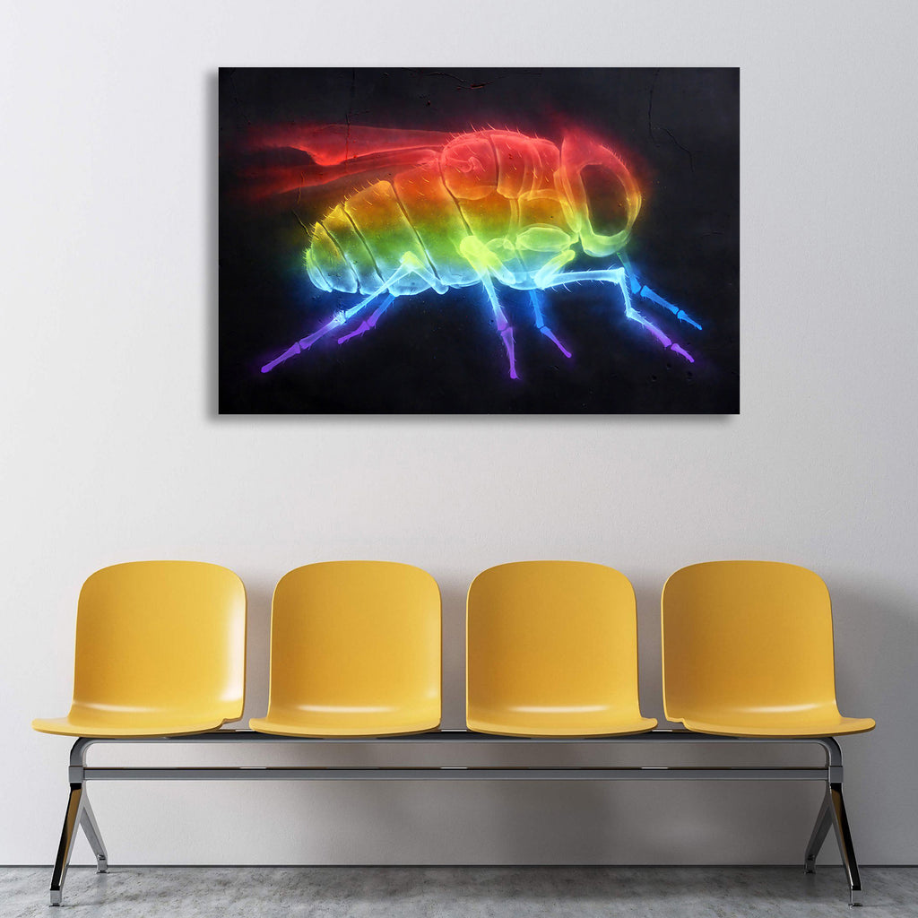 Rainbow Fly, Graffiti