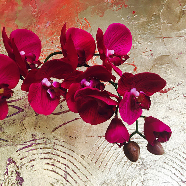 Red Orchid, Photography