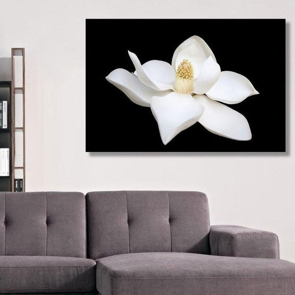 White Flower, Photography