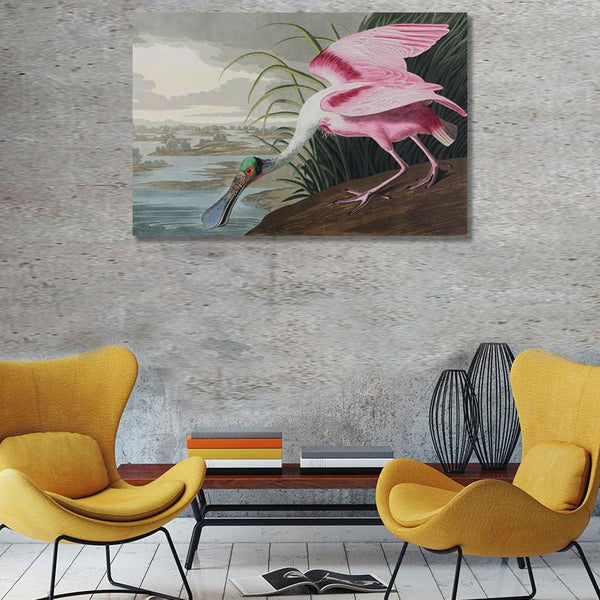 Birds of America, Roseate Spoonbill by John J. Audubon