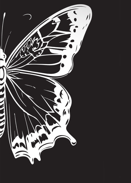 Black/White Butterfly, Set of 2
