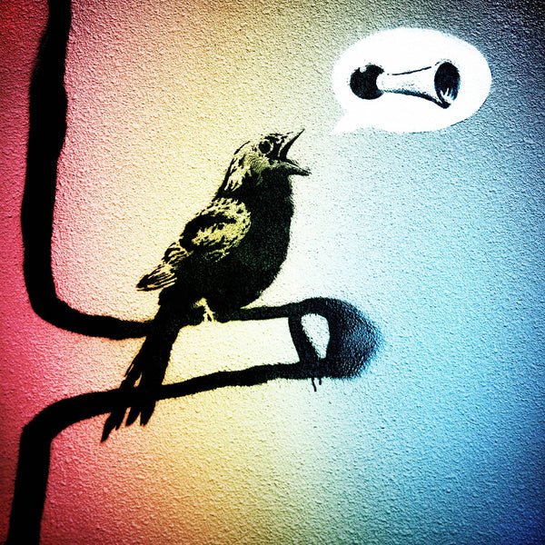 Singing Bird On The Tree (Multi-color), Graffiti