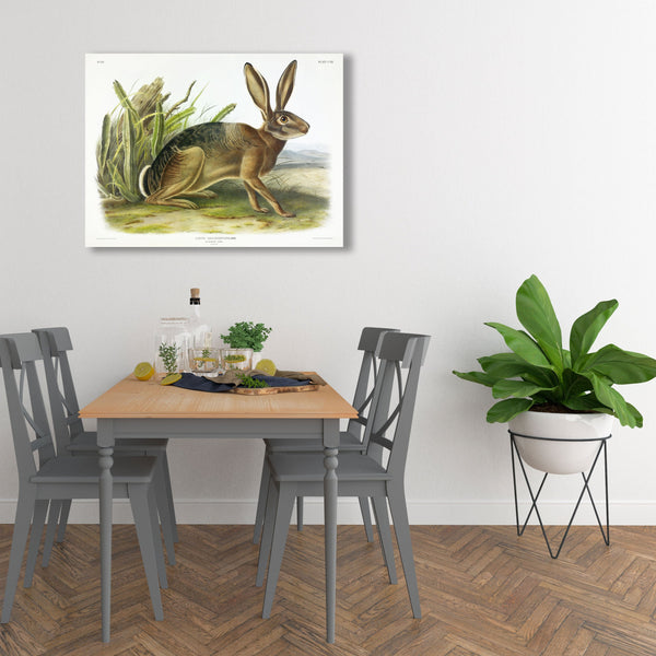 Californian Hare, Vintage Poster