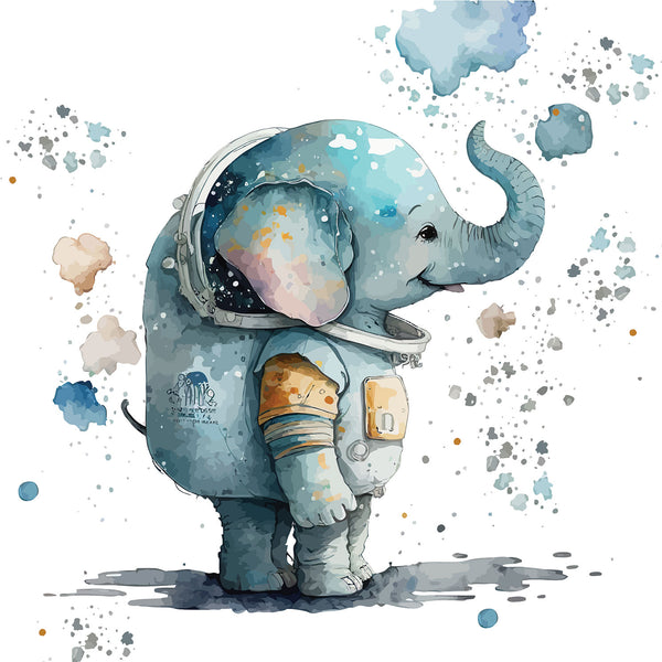 Baby Animals Astronauts, SET