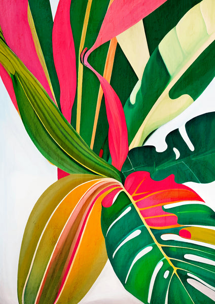Colorful Tropical Plants