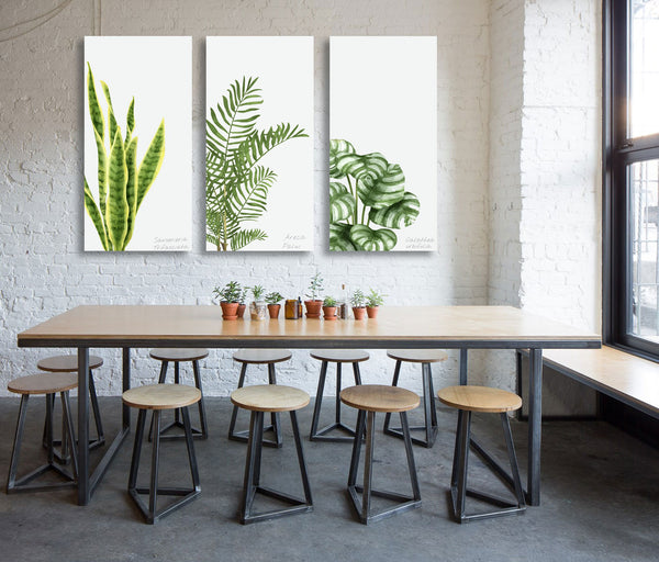 Plants & Leaves, Art Set of 3, Digital Art