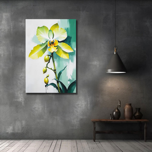 Abstract Orchid (Flower Collection)